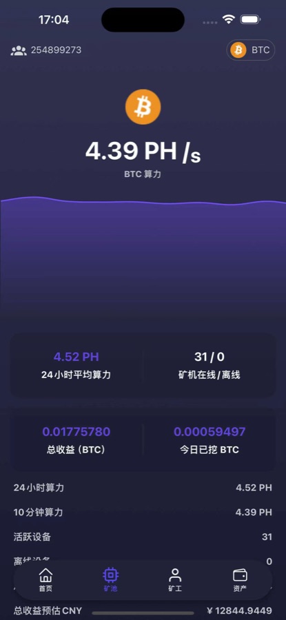 PoolNode 移动应用 BTC 算力详情截图